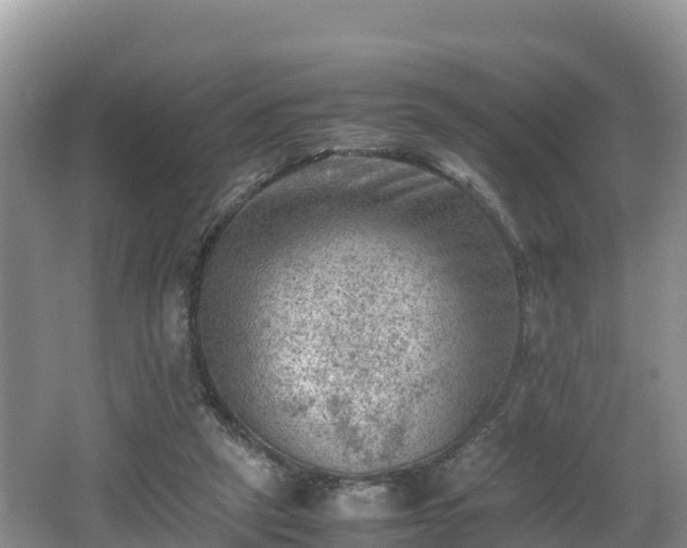 X0000062130257200512121223