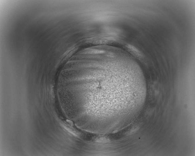 X0000062130258200512121223