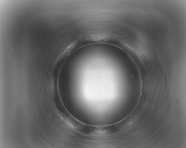 X0000062130260200512121223