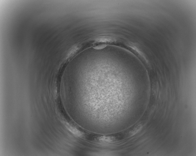 X0000062130261200512121223