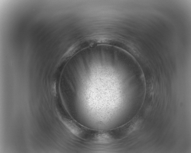 X0000062130262200512121223