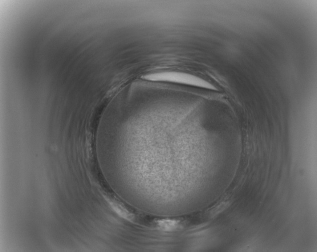 X0000062130265200512121223