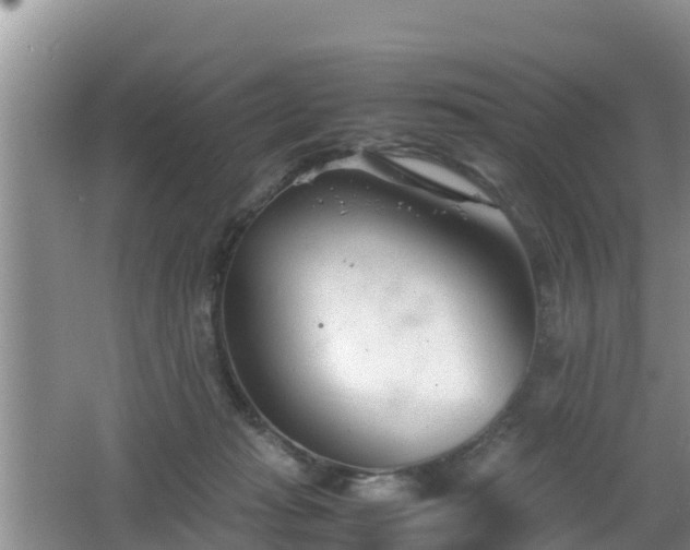 X0000062130269200512121223