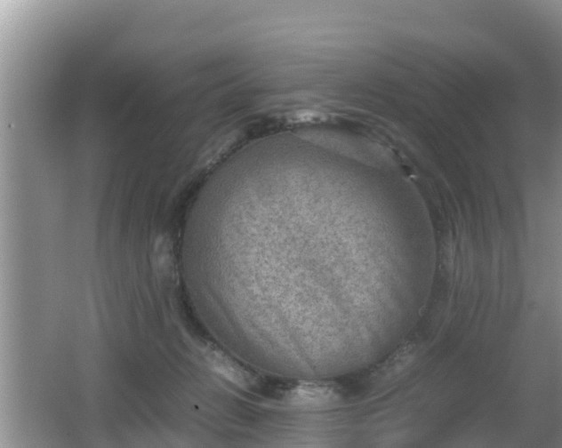 X0000062130270200512121223