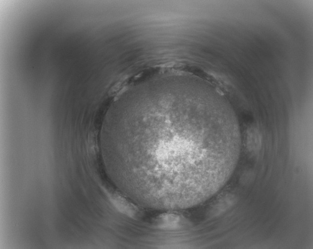 X0000062130272200512121223