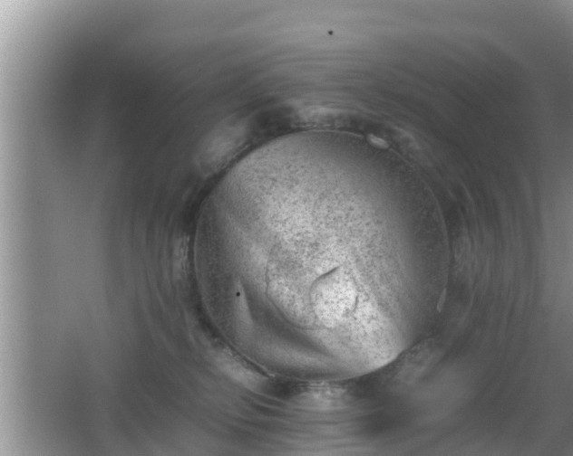 X0000062130278200512121223