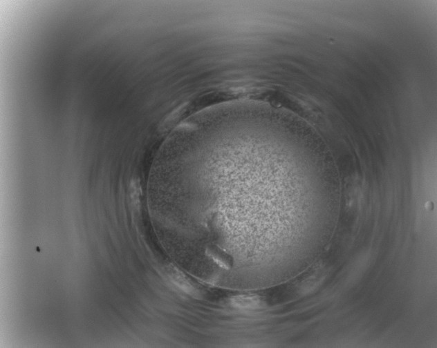 X0000062130279200512121223