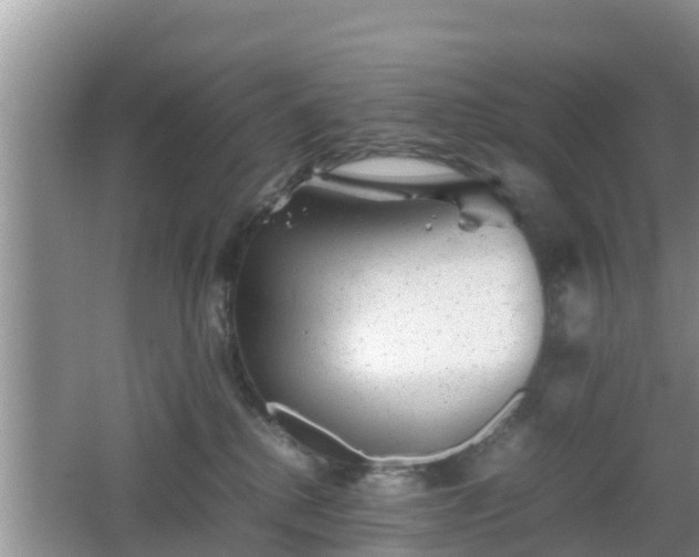 X0000062130280200512121223