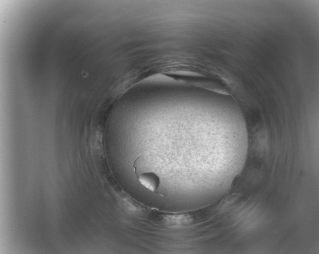 X0000062130281200512121223