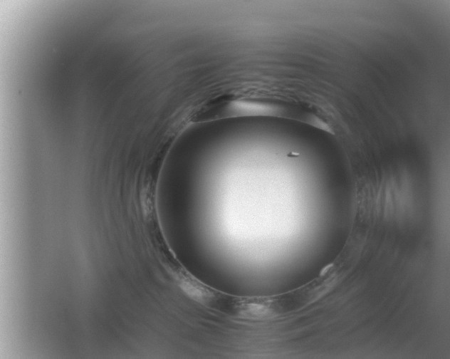 X0000062130285200512121223