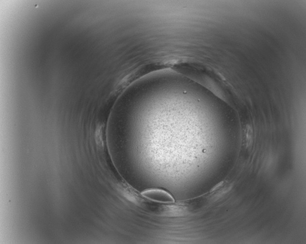 X0000062130286200512121223