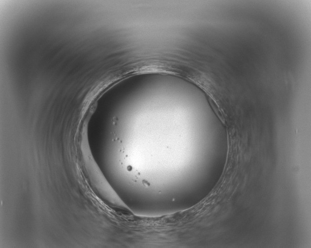 X0000062130289200512121222