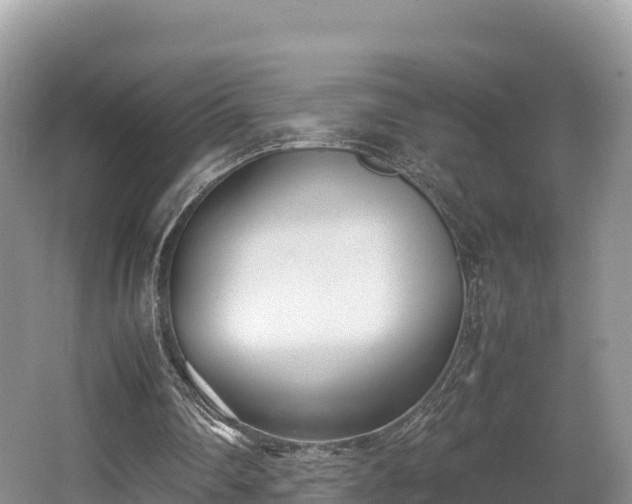 X0000062130290200512121222