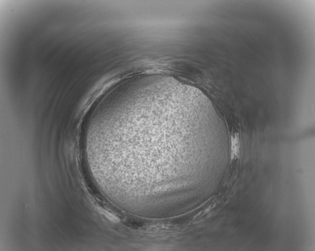 X0000062130291200512121222