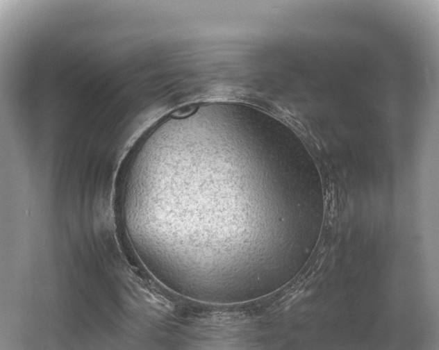 X0000062130292200512121222