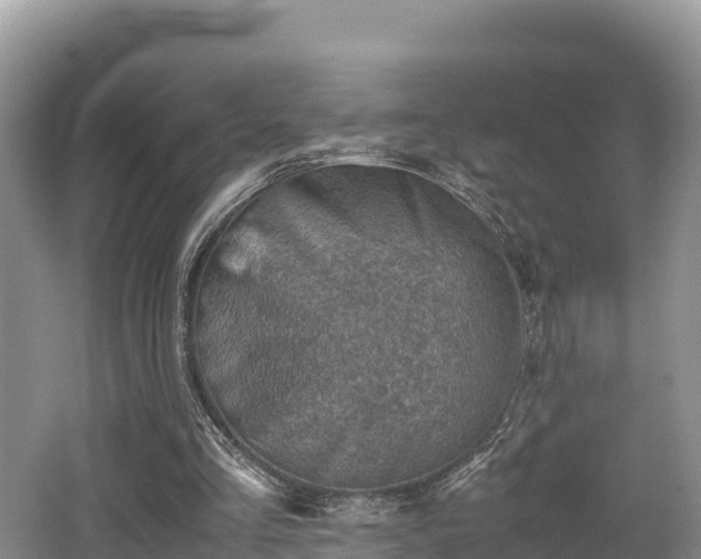 X0000062130293200512121222