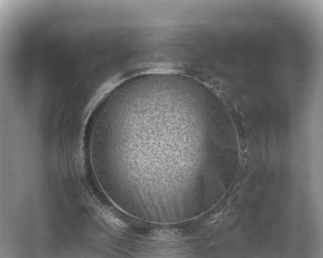 X0000062130296200512121222