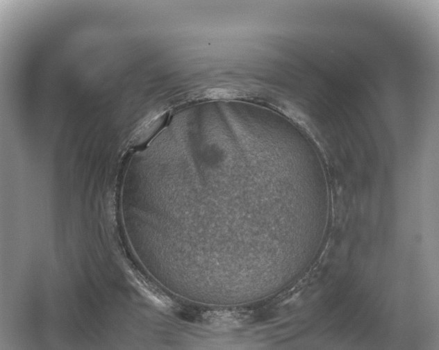 X0000062130297200512121222