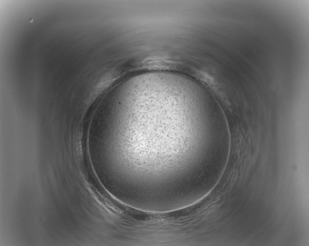 X0000062130299200512121222