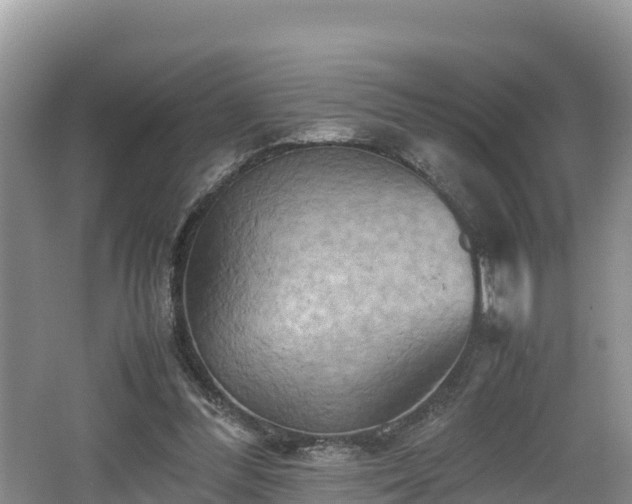 X0000062130300200512121222