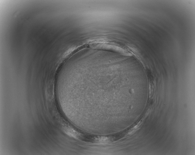 X0000062130301200512121222