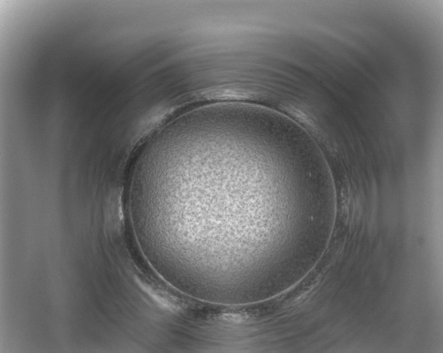 X0000062130302200512121222