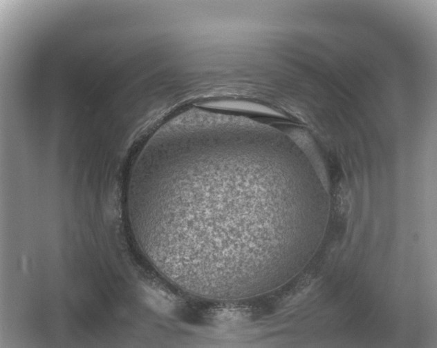 X0000062130303200512121222