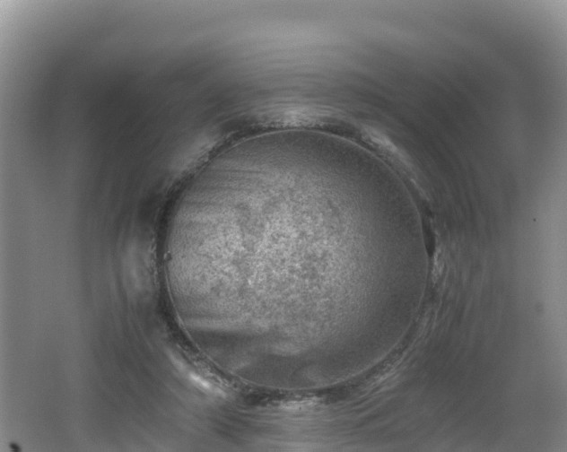 X0000062130306200512121222