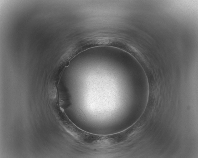 X0000062130307200512121222