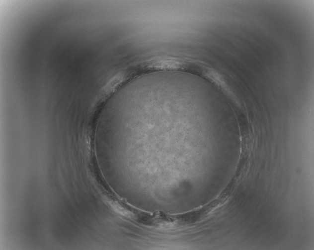 X0000062130309200512121222