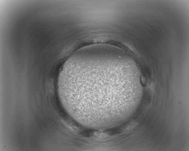 X0000062130311200512121222