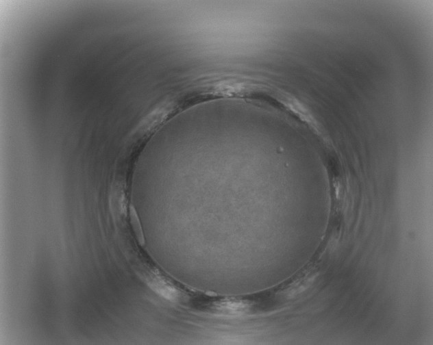 X0000062130313200512121222