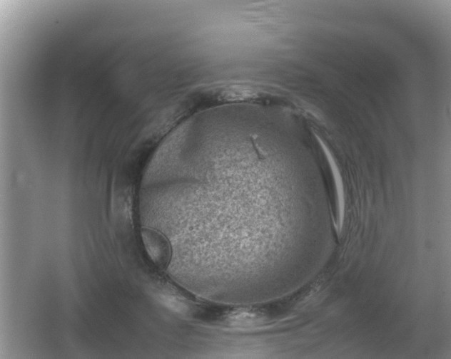 X0000062130315200512121222