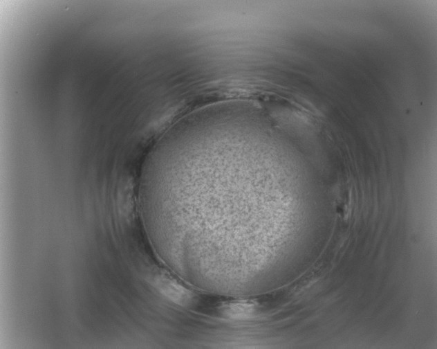 X0000062130318200512121222