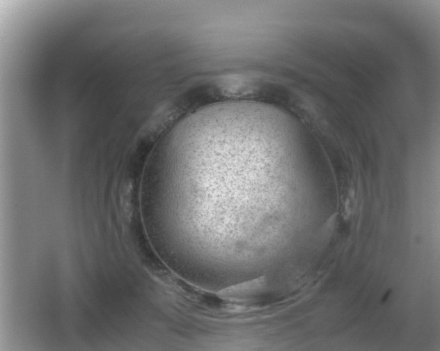 X0000062130319200512121222