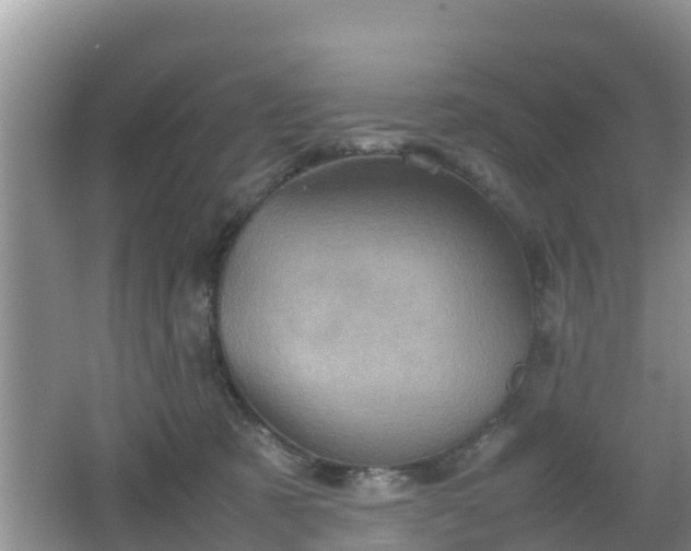 X0000062130321200512121222