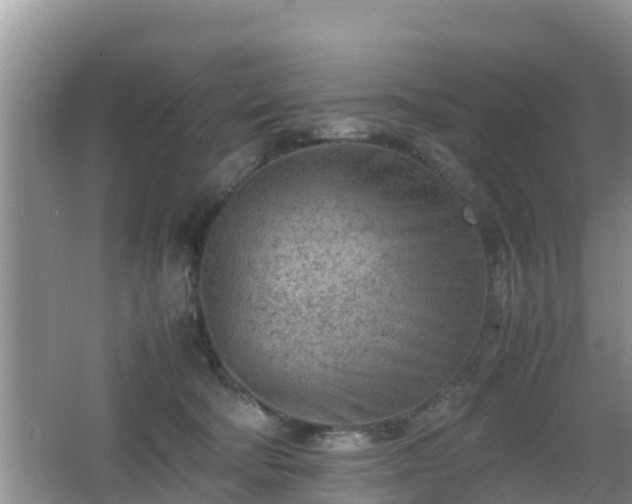 X0000062130322200512121222