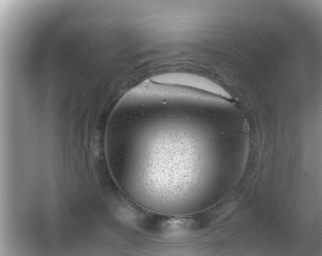 X0000062130323200512121222