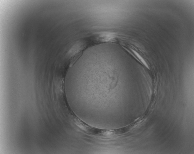 X0000062130325200512121222