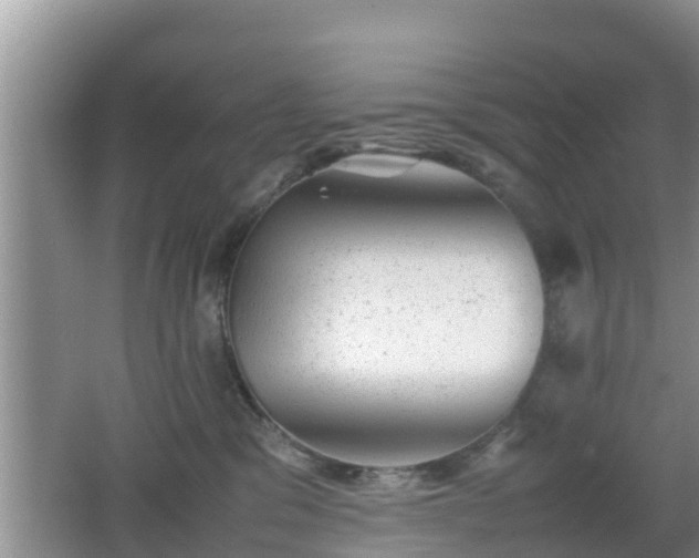 X0000062130329200512121222