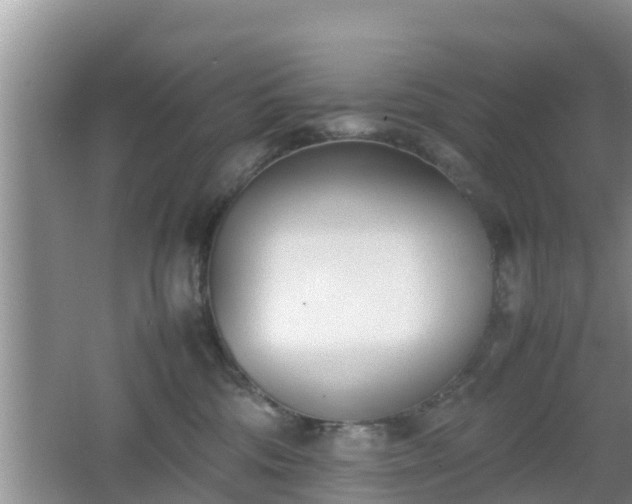 X0000062130330200512121222