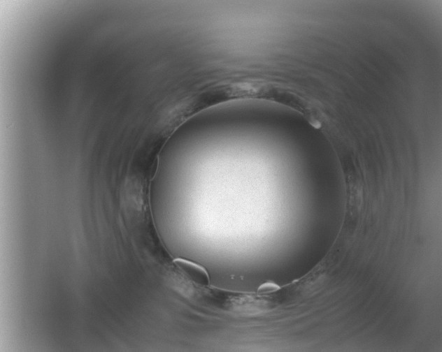 X0000062130331200512121222