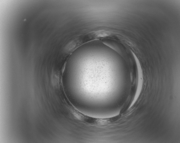 X0000062130333200512121222