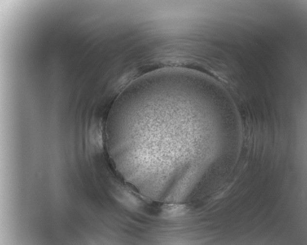 X0000062130334200512121222