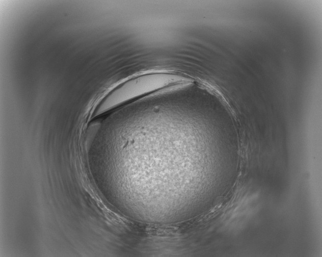 X0000062130337200512121221