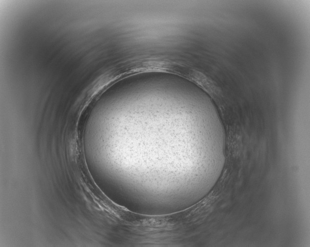 X0000062130338200512121221