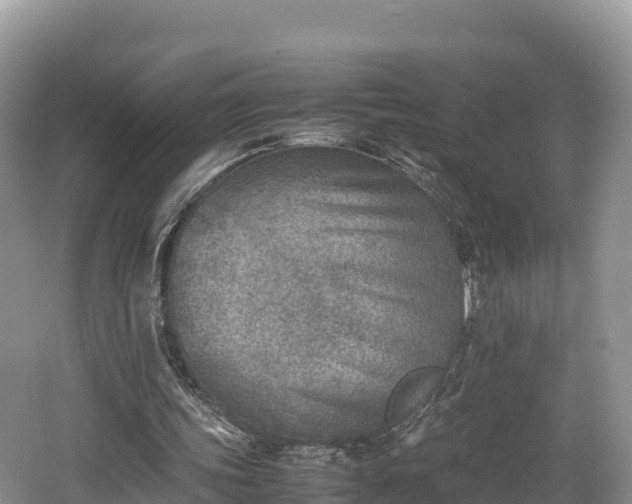 X0000062130339200512121221