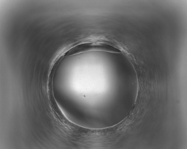 X0000062130340200512121221