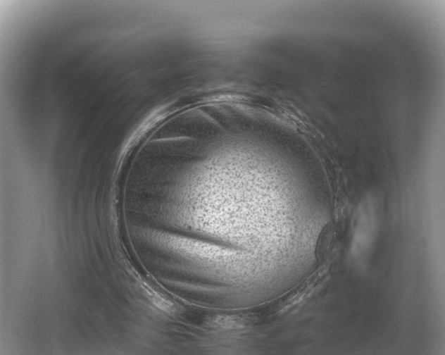 X0000062130341200512121221