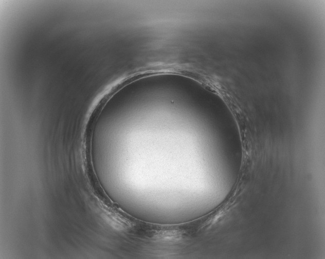 X0000062130342200512121221